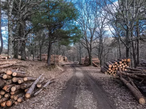 Ekologiczna produkcja kartonów