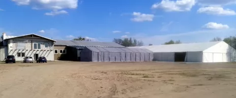 Produkcja kartonów to wspaniała działalność 